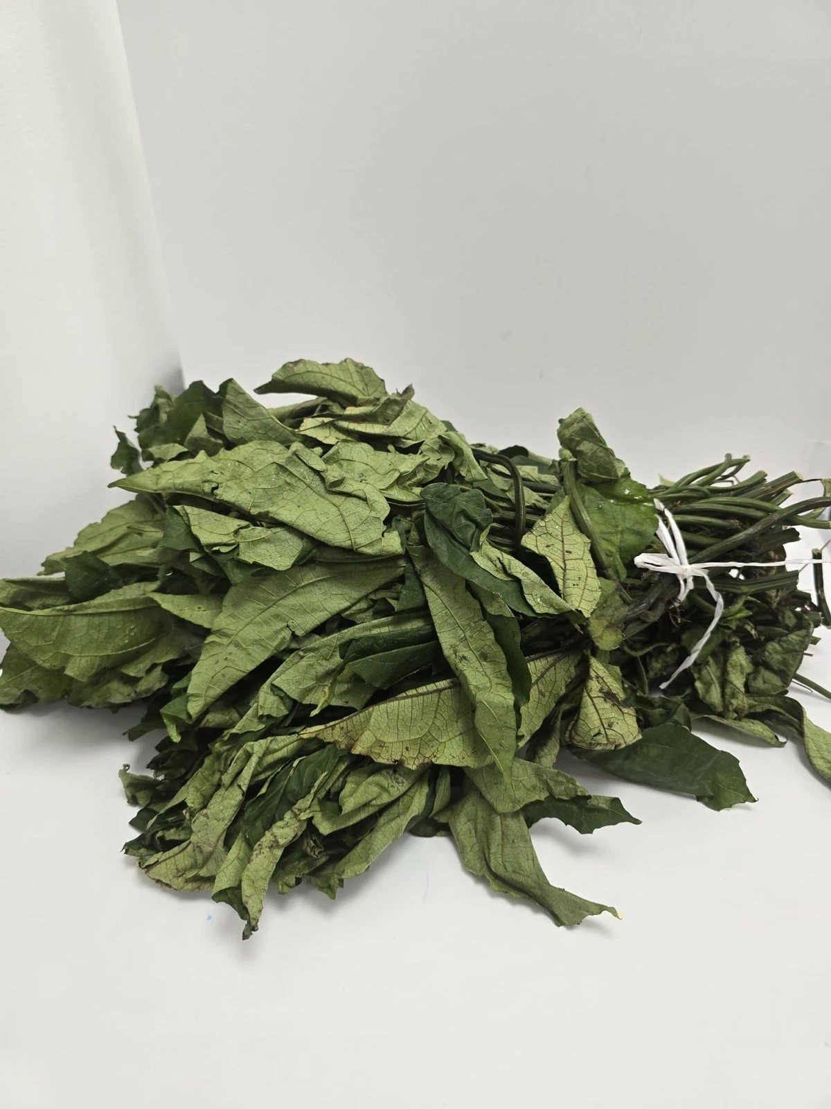Ugwu Leaf (Fresh)