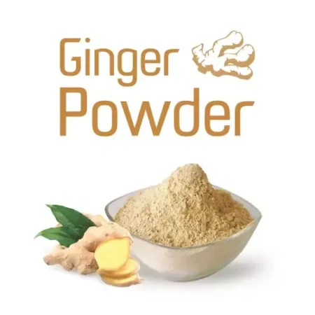 Ginger Powder (3g)