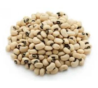 Beans – White (Paint Bucket)