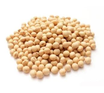 Soya Beans (Paint Bucket)